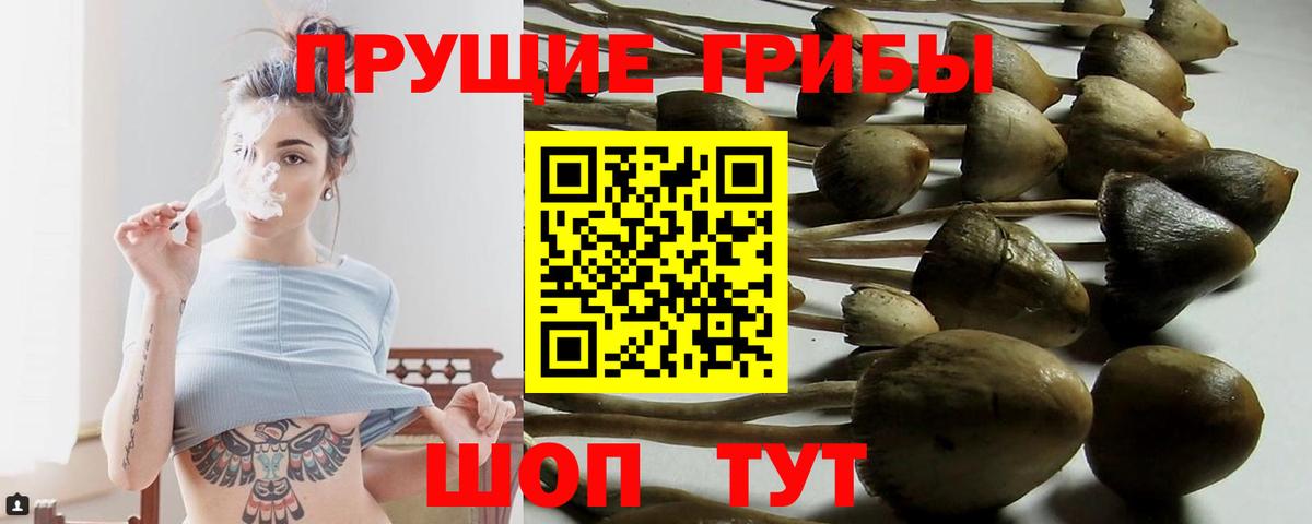 Трёхгорный  дарнет шоп  Вход с VPN  Галлюциногенные грибы ЛСД 