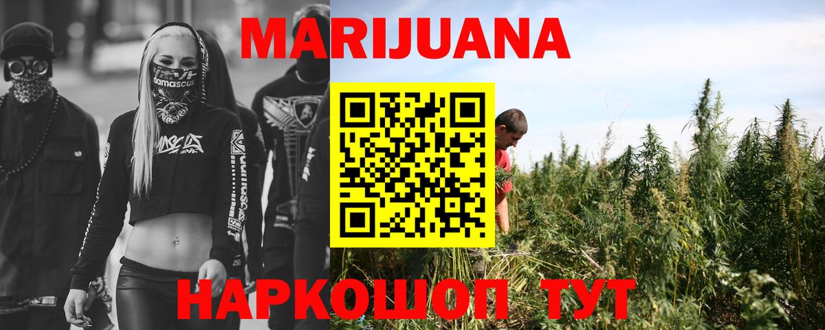 Конопля гибрид  Вход с VPN  Бошки марихуана AK-47  Трёхгорный 